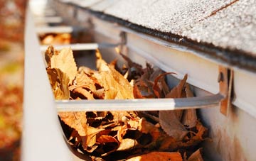 Ashburnham Forge gutter cleaning companies