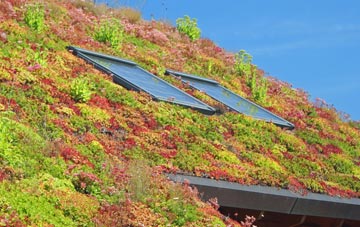 Ashburnham Forge living roof systems